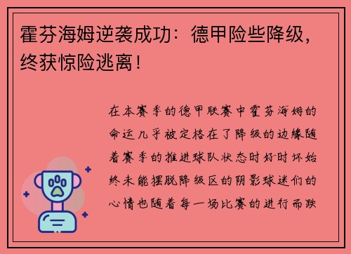 霍芬海姆逆袭成功：德甲险些降级，终获惊险逃离！
